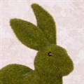 Crawling Mossy Rabbit alternative image