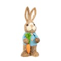 Boy Rabbit with Carrot alternative image