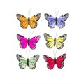 Butterfly Clips pack of 6 alternative image