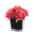 Faux Coral Roses in Black Cube alternative image