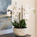 Large Faux Orchid in Clay Pot alternative image