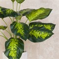 Faux Dieffenbachia Plant alternative image