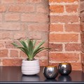 Potted Faux Agave Plant alternative image