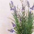Faux Lavender in Stone Pot alternative image