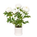 Faux Peony Plant in pot - White alternative image