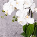 Faux Phalaenopsis Dimpled Pot alternative image