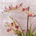 Faux Cymbidium Orchid alternative image