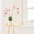 Faux Phalaenopsis Orchid Pink alternative image