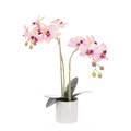 Faux Phalaenopsis Orchid Pink alternative image