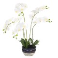 Large Faux Orchid in Ceramic Pot alternative image