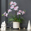 Faux Pink Orchid in Pot alternative image