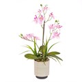 Faux Pink Orchid in Pot alternative image