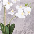 Faux Orchid in Porcelain Pot alternative image