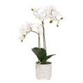 Faux Orchid in ridged ceramic pot alternative image