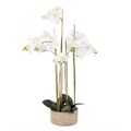 Large Faux Orchid in rustic pot alternative image