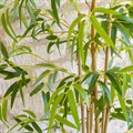 Large Faux Bamboo Plant alternative image