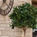 Large Faux Bay Topiary Tree alternative image