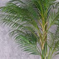 Faux Areca Palm Large alternative image