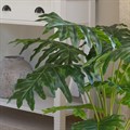Faux Philodendron alternative image