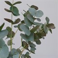 Small Faux Eucalyptus in Pot alternative image