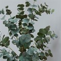 Large Faux Eucalyptus in Pot alternative image