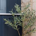Medium Faux Olive Tree alternative image