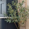 Large Faux Olive Tree alternative image