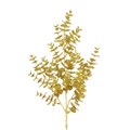 Gold Eucalyptus Stem alternative image