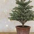 Faux Mini Christmas Tree in Pot alternative image