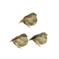 Set of 3 Assorted Partridge Clips alternative image