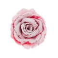 Set of 3 Red Snowy Rose Clips alternative image