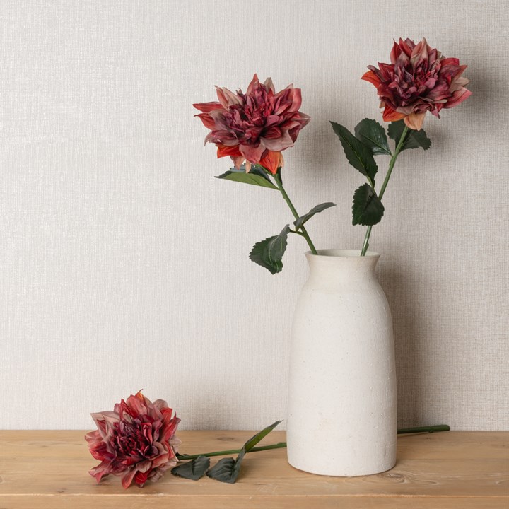 ECO Juliet Dahlia Burgundy