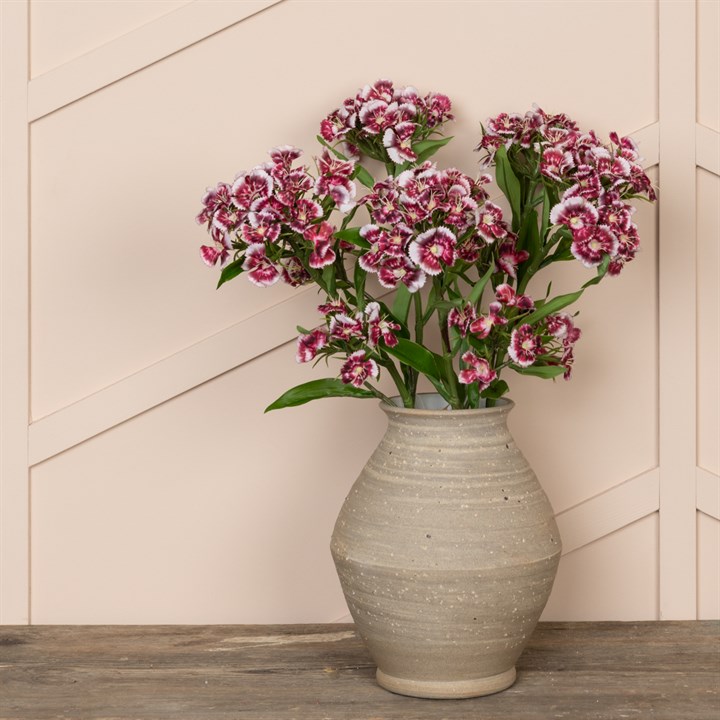 ECO Faux Sweet William Burgundy White