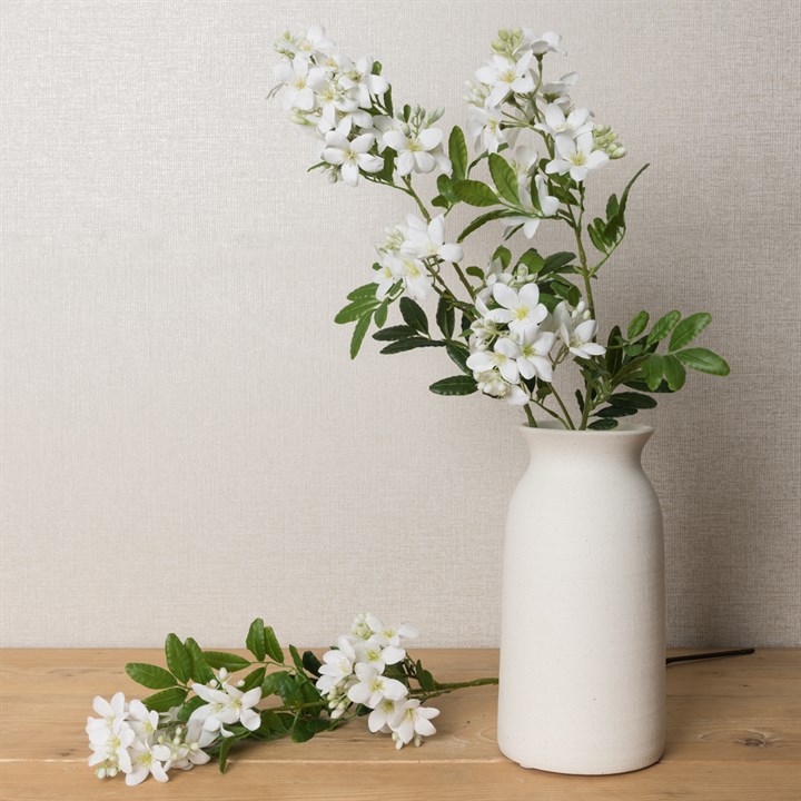 Faux Jasmine Stephanense White