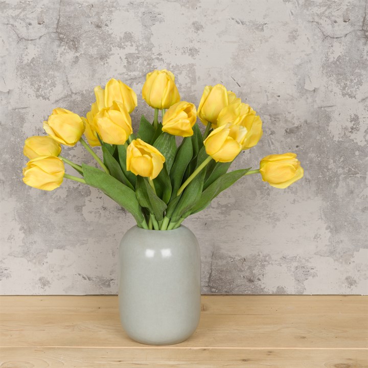Triumph Tulip Yellow