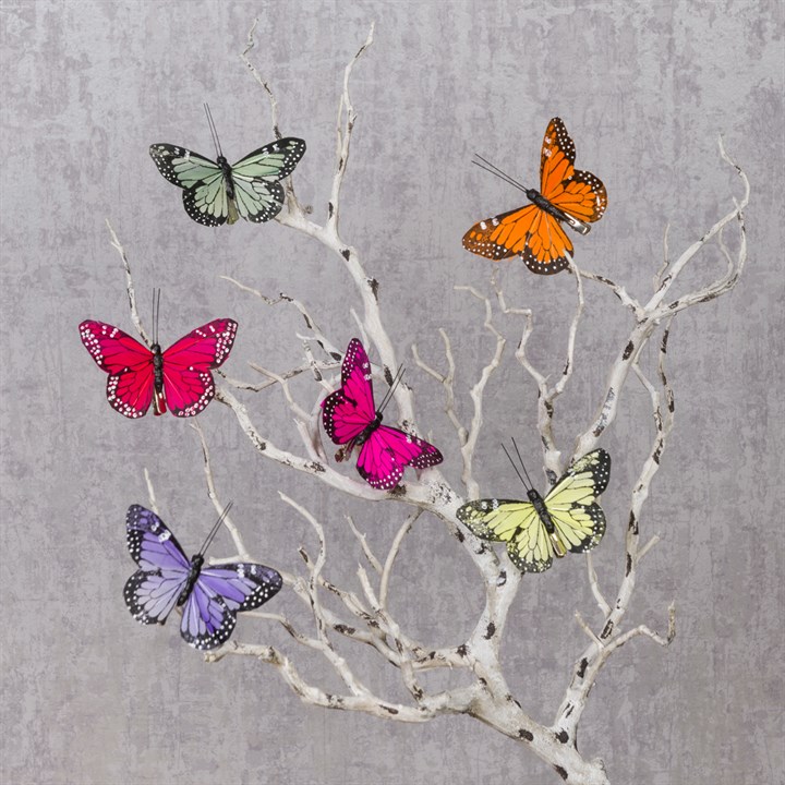 Butterfly Clips pack of 6