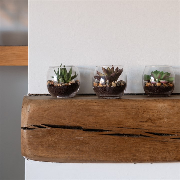 Set of 3 Faux Succulents in Globe Vase