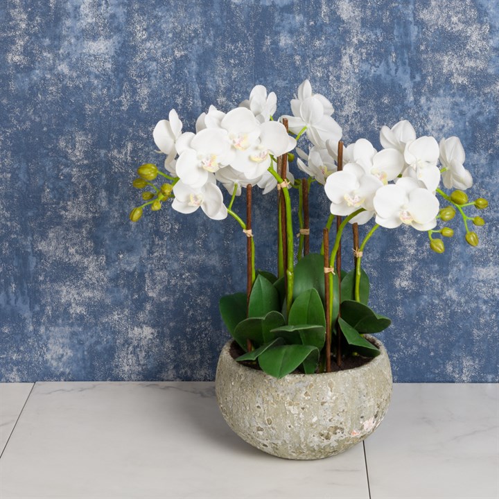 Faux Orchid in Clay Pot