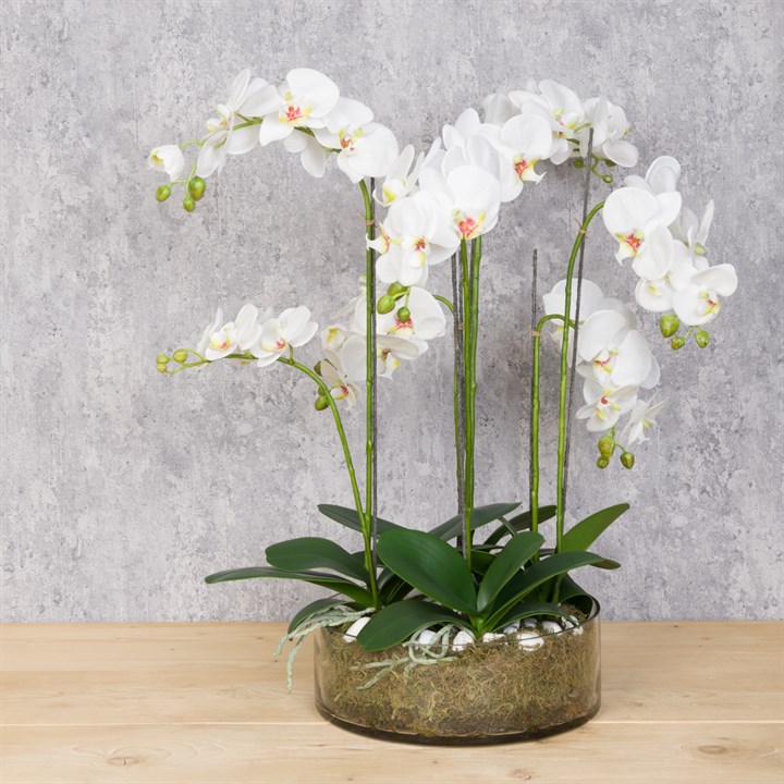 Large Faux Orchid in Glass Bowl