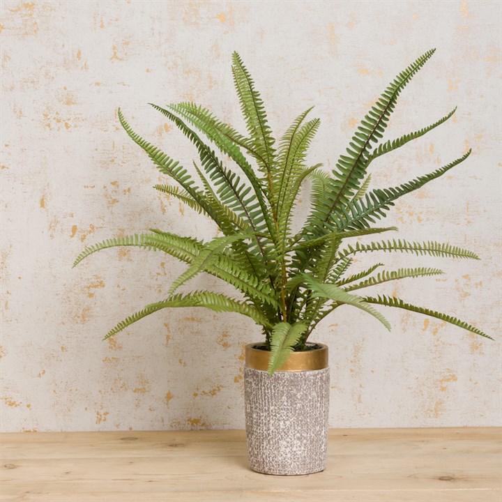 Faux Potted Fern
