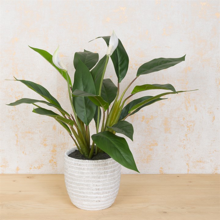 Faux Potted Peace Lily