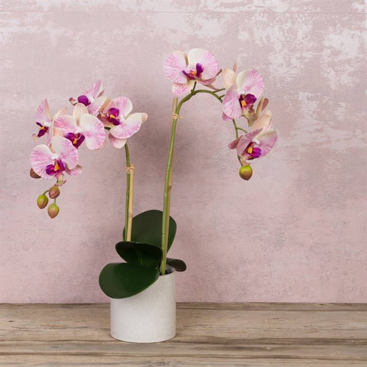 Faux Phalaenopsis Orchid Pink