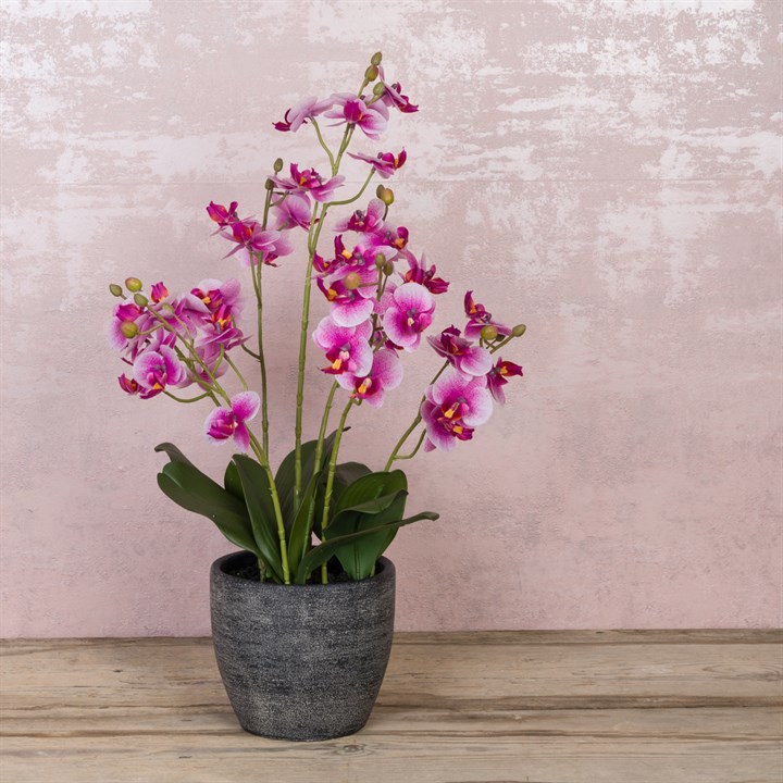 Faux Dendrobium Orchid Pink