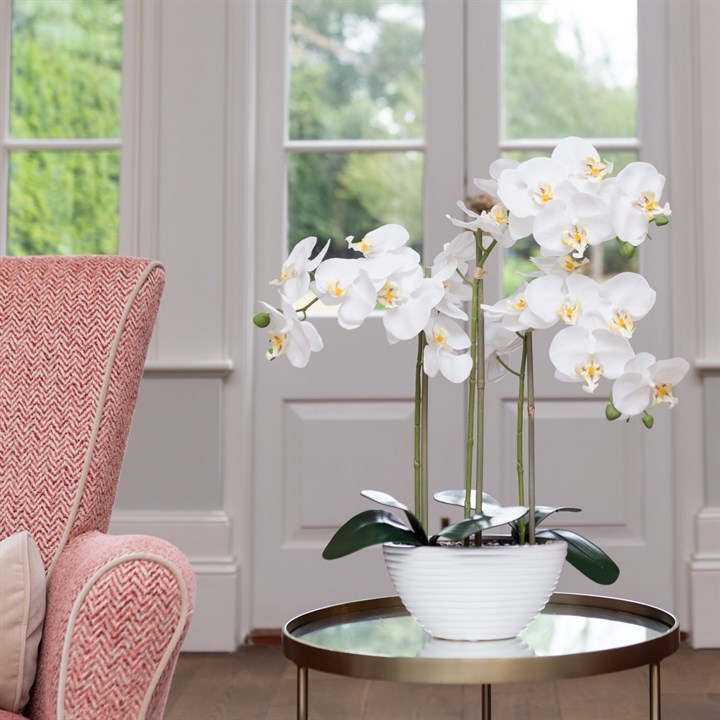 Faux Orchid in White Ribbed Pot