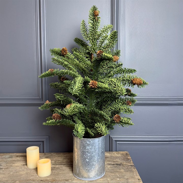 Potted Pine Tree in Tin Pot 60cm