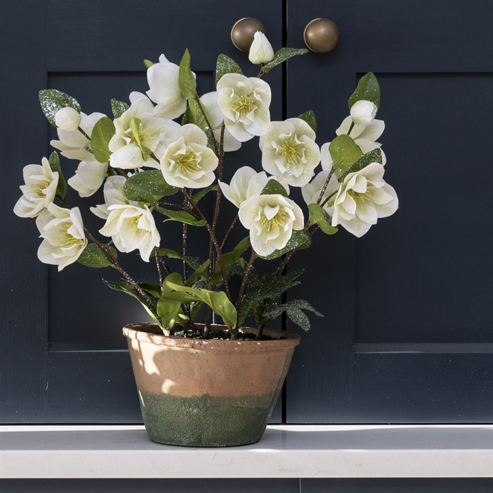 Faux Frosted Hellebore in Ceramic Pot White