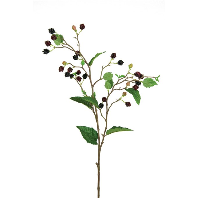 Blackberry Spray 85cm