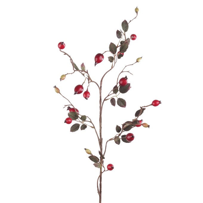 Rosehip Spray-80
