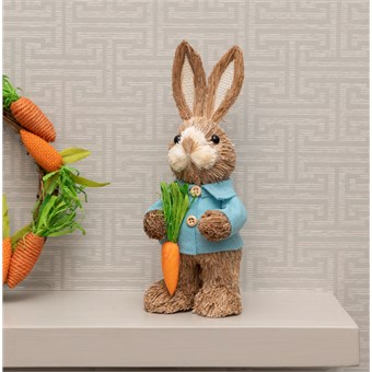 Boy Rabbit with Carrot