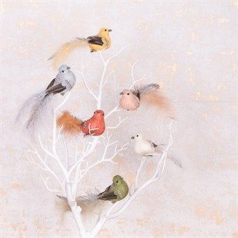 Textile Bird Clips 6 pack